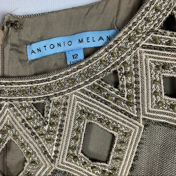 Antonio Melani Sleeveless Tan Workwear Modest Seth Dress Size 12 - Picture 3 of 8